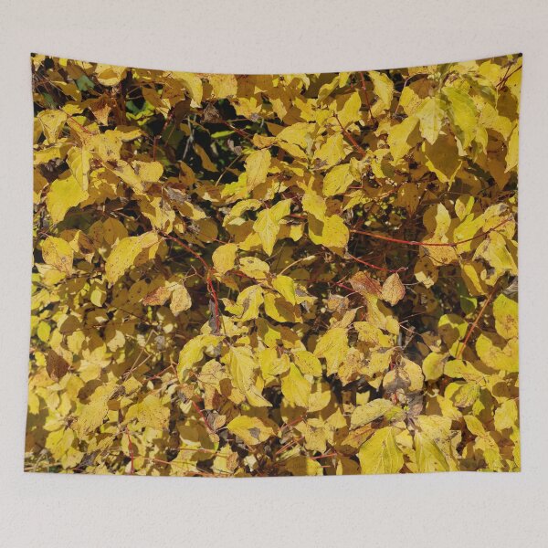 Item preview, Common Dogwood, Fall Leaves designed and sold by Gaboro.