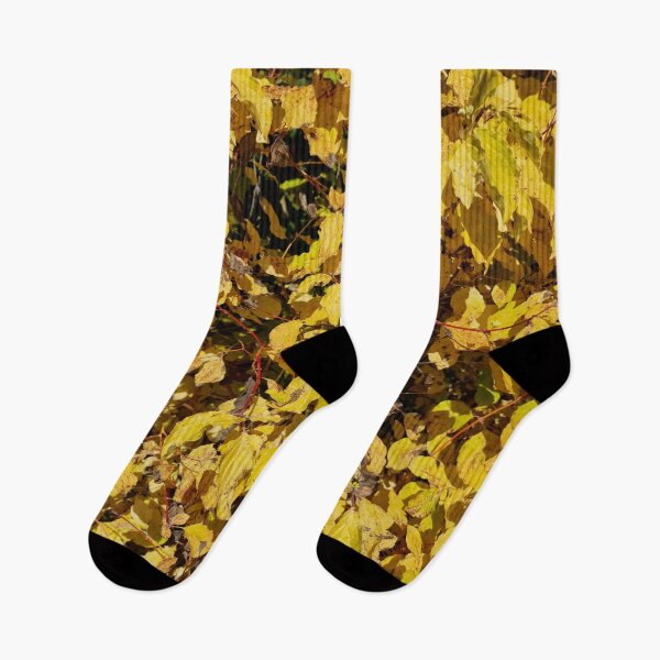 Item preview, Common Dogwood, Fall Leaves designed and sold by Gaboro.