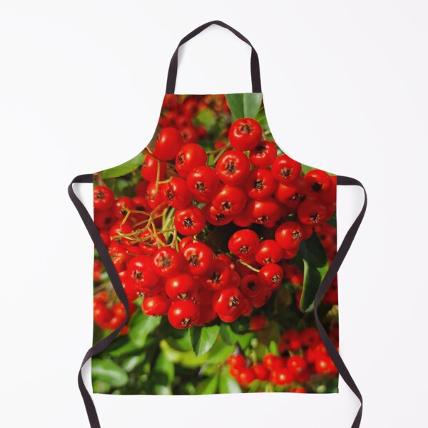 Aperçu de l'œuvre Baies rouges de Buisson ardent écarlate, feuilles vertes I. créée et vendue par Gaboro.