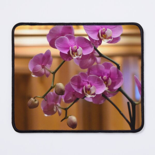 Item preview, Orchids by Elevators designed and sold by MangoSeeds.