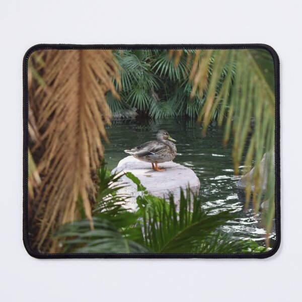 Item preview, Cute Duck at Flamingo designed and sold by MangoSeeds.