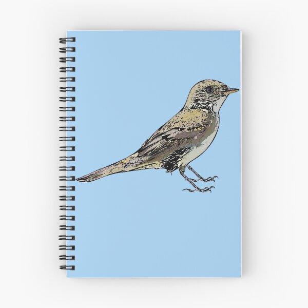 Item preview, Alder Flycatcher Black Alternate Design  designed and sold by designsasstultd.