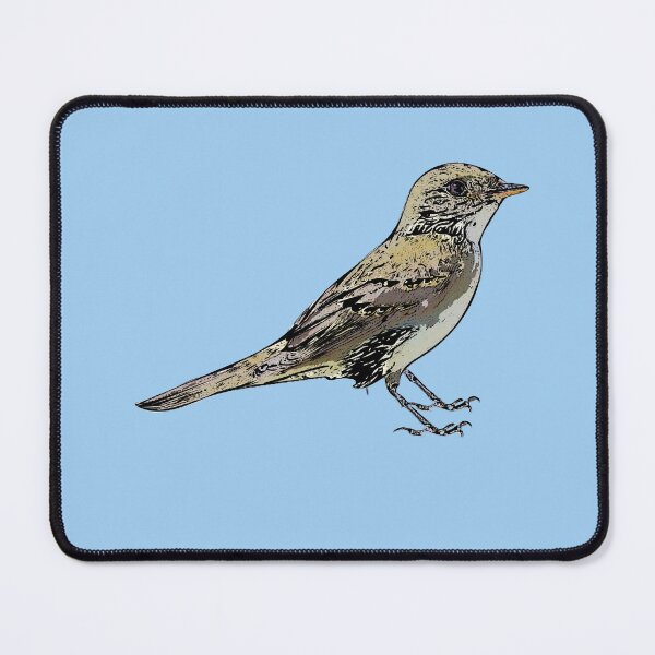 Item preview, Alder Flycatcher Black Alternate Design designed and sold by designsasstultd.