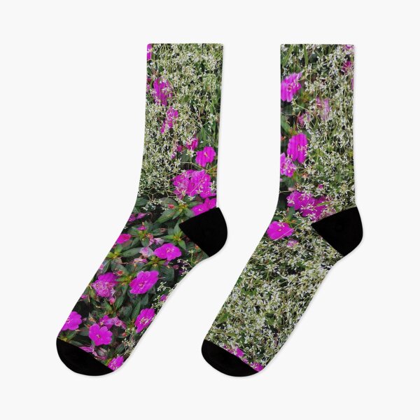 Item preview, Violet Color Aubrieta and White Graceful Spurge Flowers designed and sold by Gaboro.