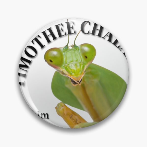 Item preview, Timothee Chalamet: I met him once! designed and sold by merapple.