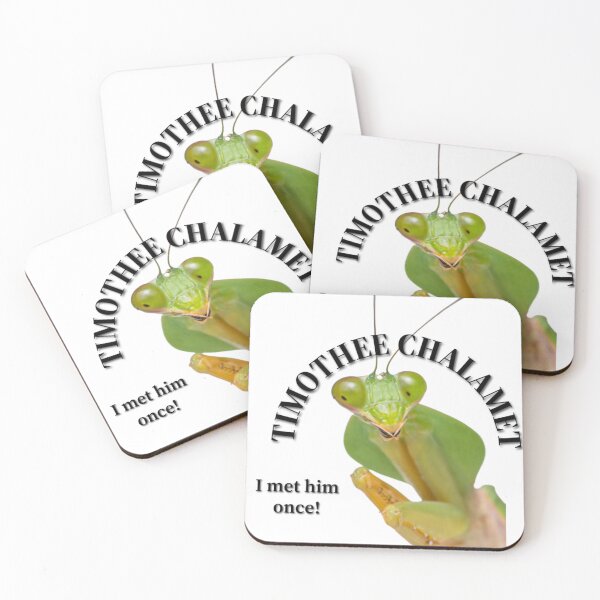 Item preview, Timothee Chalamet: I met him once! designed and sold by merapple.