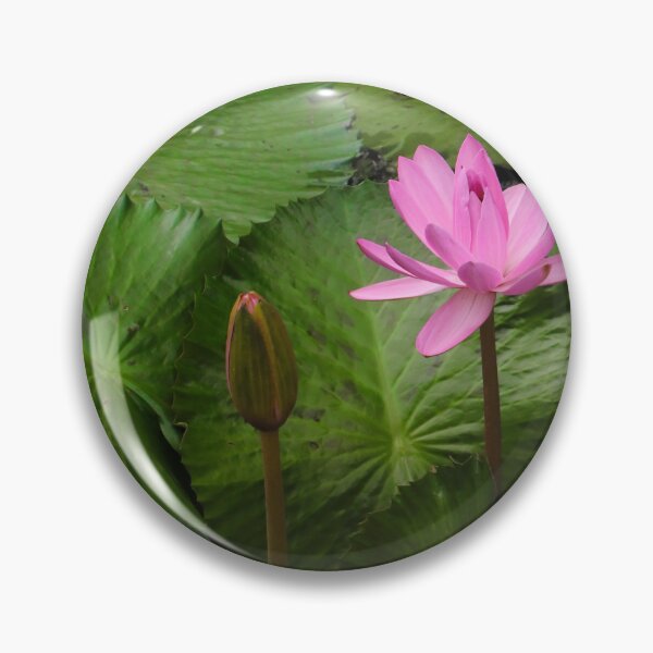 Item preview, Pink Water Lily designed and sold by Anjuna Sainath.
