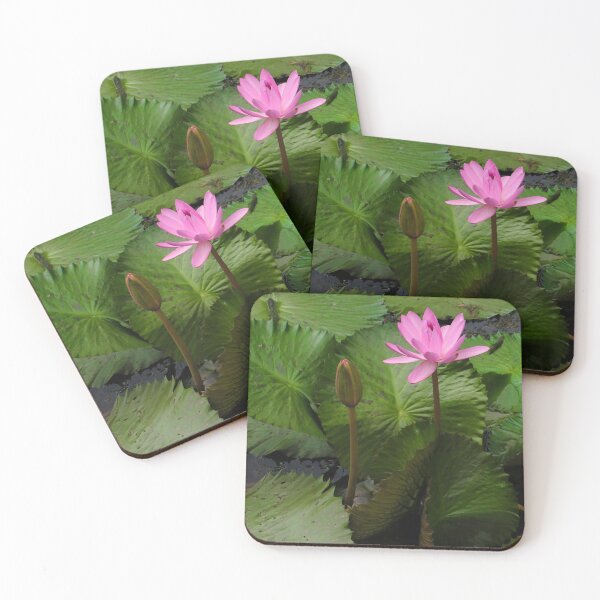 Item preview, Pink Water Lily designed and sold by Anjuna Sainath.