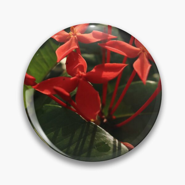 Item preview, Ixora in Morning Light designed and sold by Anjuna Sainath.