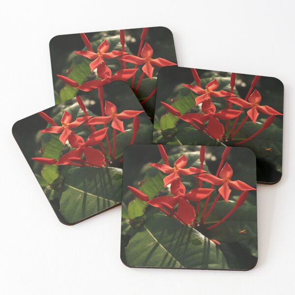 Item preview, Ixora in Morning Light designed and sold by Anjuna Sainath.