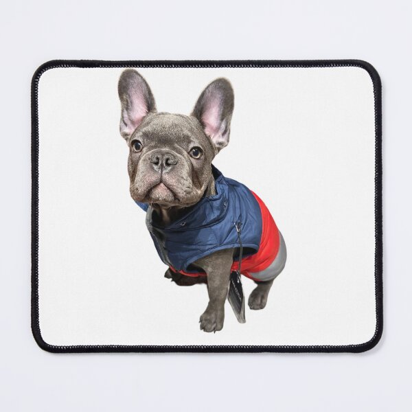 Item preview, French Bulldog Vote designed and sold by drowndeep.