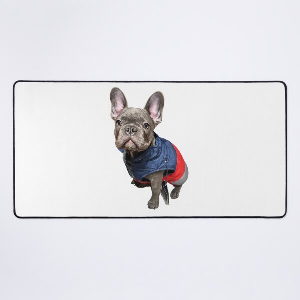 Item preview, French Bulldog Vote designed and sold by drowndeep.
