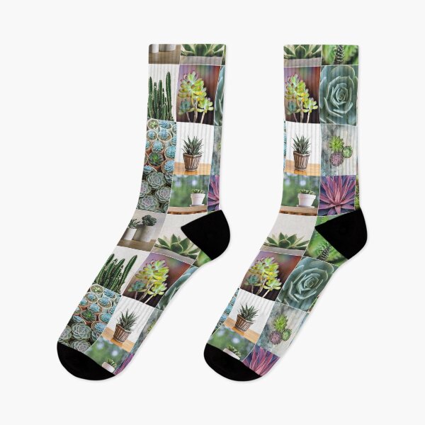 Item preview, Succulent Photo Collage designed and sold by ColorfulPrints.