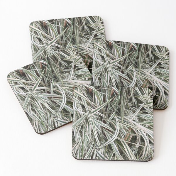Item preview, Variegated Plants  designed and sold by Amanda1775.