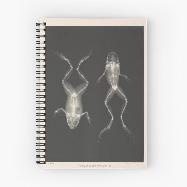 Item preview, Frogs Prone and Supine by Josef Maria Eder, Eduard Valenta designed and sold by Amanda1775.