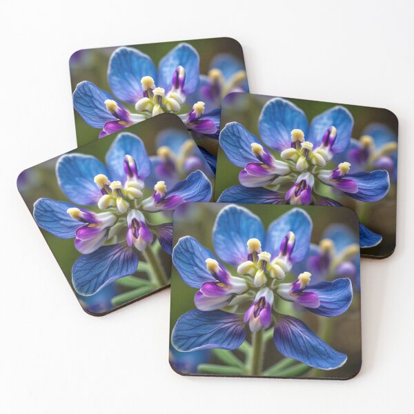 Item preview, Bluebonnet  designed and sold by Savannah Gibbs.