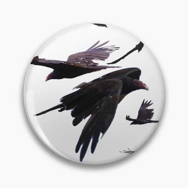 Item preview, Turkey Vulture Collage - Blank Background designed and sold by hendrickssdh.