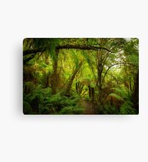 A Forest Trail Canvas Print