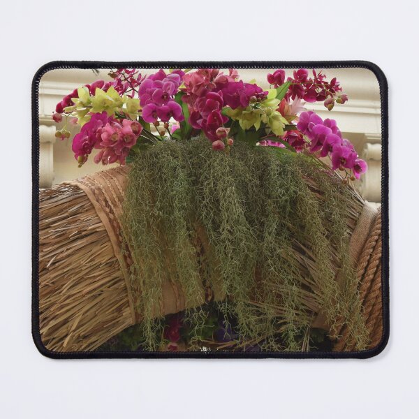 Item preview, Archway Orchids at Bellagio designed and sold by MangoSeeds.