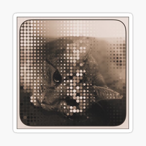 Cat Digital Art Sticker