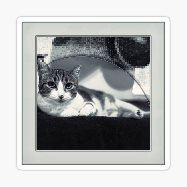 Cat Digital Art Sticker
