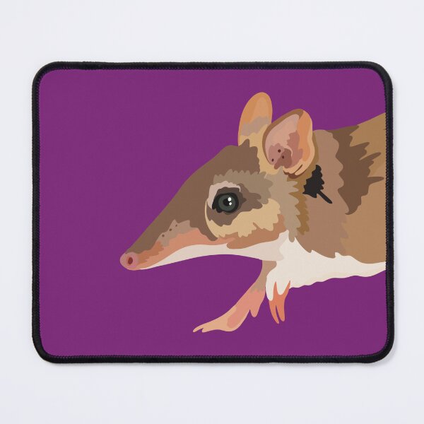 Item preview, B is for Bandicoot, Bandicoot – Unique Australian Marsupial Wildlife Illustration designed and sold by PrettylittlepastelUk.