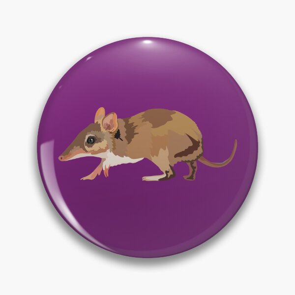Item preview, B is for Bandicoot, Bandicoot – Unique Australian Marsupial Wildlife Illustration designed and sold by PrettylittlepastelUk.