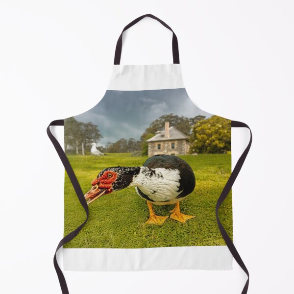 Item preview, Muscovy Duck designed and sold by Alex Preiss.