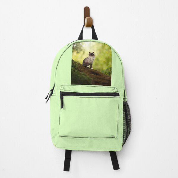 Item preview, Ragdoll cat mitted in a beautiful forest - Photography designed and sold by MrGreenDragon.