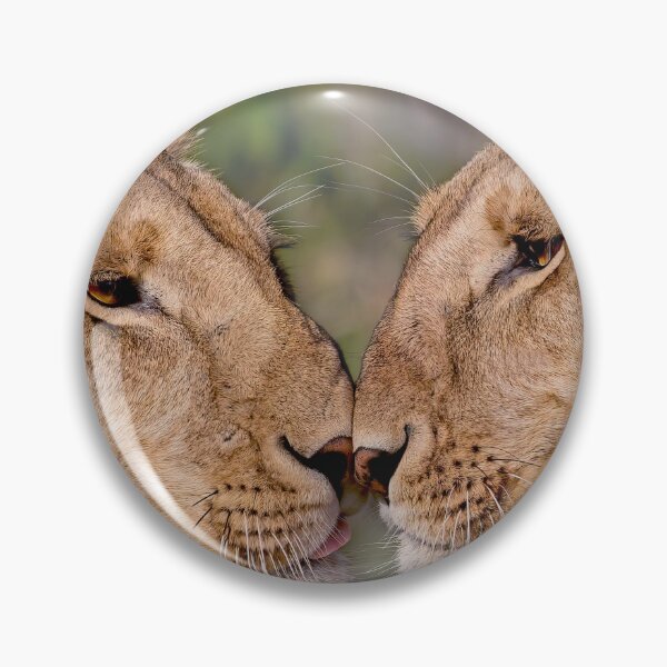 Item preview, Lioness Sisterly Love designed and sold by AndyMorkot.