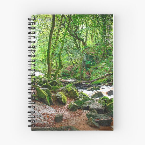 Item preview, Golitha Falls, Cornwall designed and sold by Graz-Photos.
