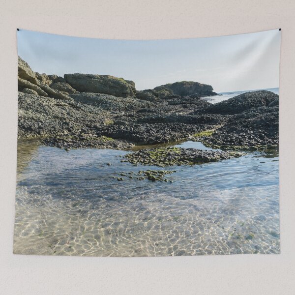 Item preview, Intertidal Shore designed and sold by Georgia Mizuleva.