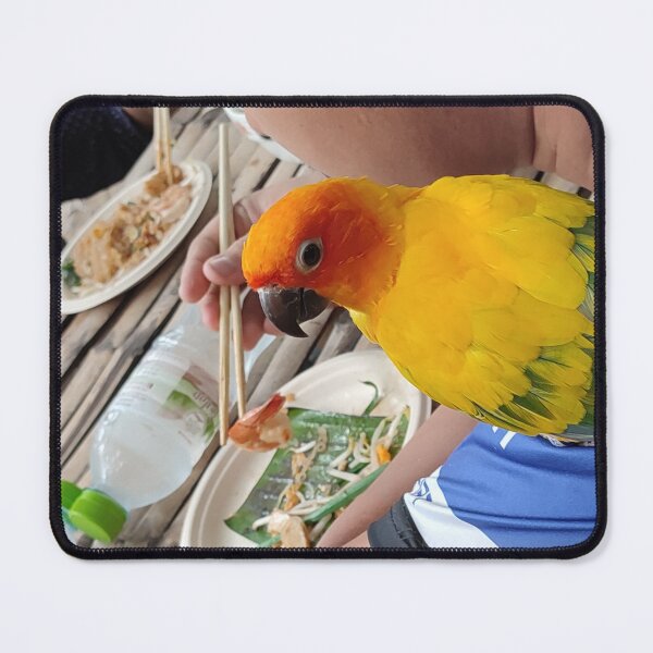 Item preview, Pets Come Too, to the Opoi Market designed and sold by JonDelorme.