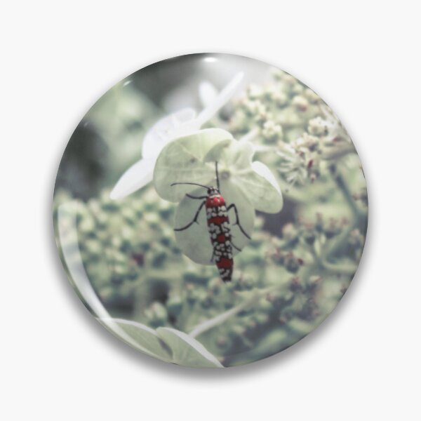 Item preview, Standout designed and sold by MZukoPhoto.