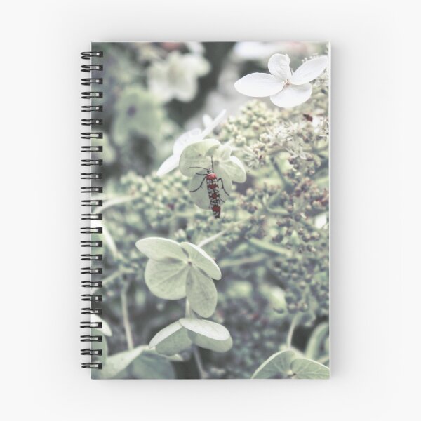 Item preview, Standout designed and sold by MZukoPhoto.