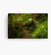 What Lies Ahead Canvas Print