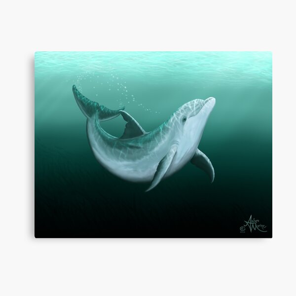 "Riversoul" by Amber Marine ~ Indian River Lagoon bottlenose dolphin art, © 2014 Canvas Print