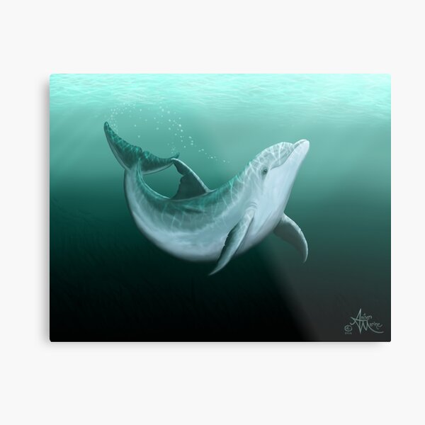 "Riversoul" by Amber Marine ~ Indian River Lagoon bottlenose dolphin art, © 2014 Metal Print