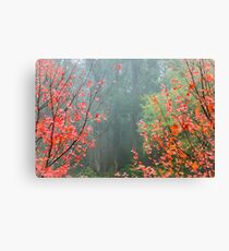 In the Mist Canvas Print