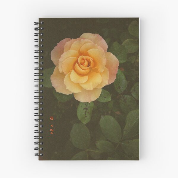 Item preview, Rose in Madrid designed and sold by AmbarVioletArt.