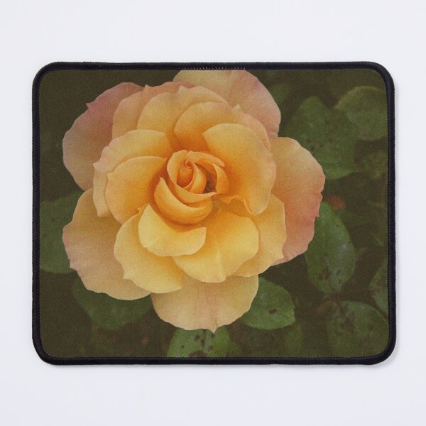 Item preview, Rose in Madrid designed and sold by AmbarVioletArt.