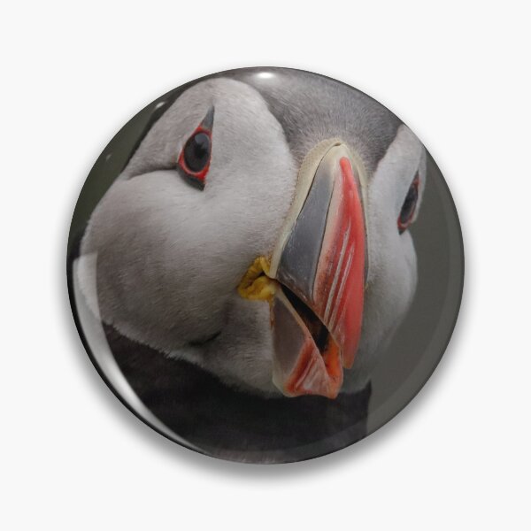 Item preview, Cheery Chap! designed and sold by Julie Wilkinson.