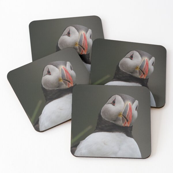 Item preview, Cheery Chap! designed and sold by Julie Wilkinson.