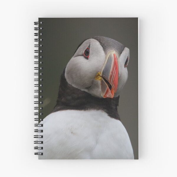 Item preview, Cheery Chap! designed and sold by Julie Wilkinson.