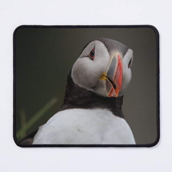 Item preview, Cheery Chap! designed and sold by Julie Wilkinson.