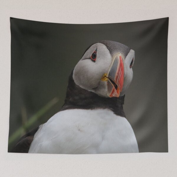 Item preview, Cheery Chap! designed and sold by Julie Wilkinson.