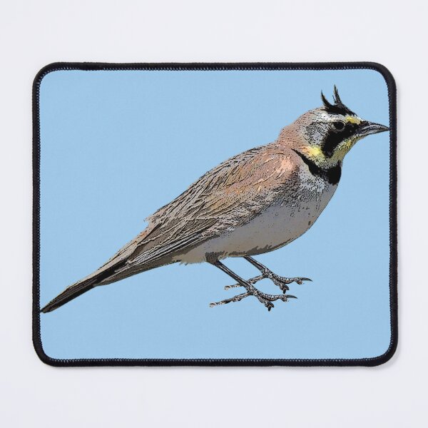Item preview, Horned Lark Color Design designed and sold by designsasstultd.