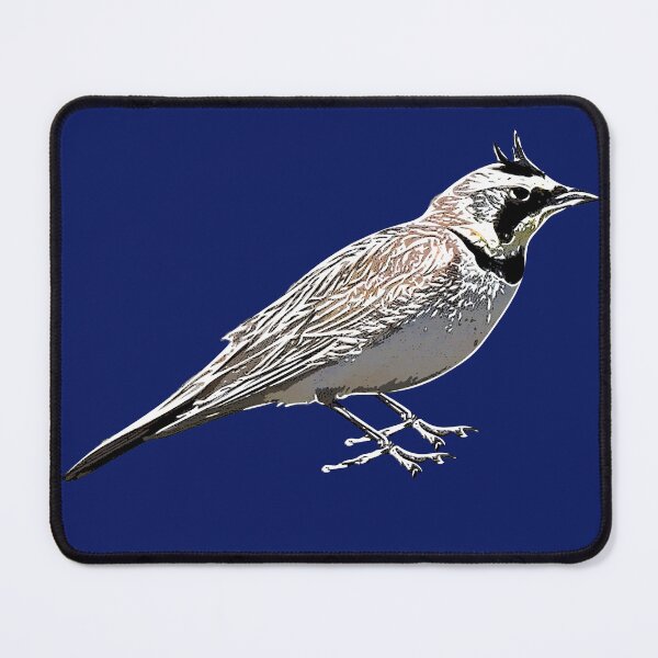 Item preview, Horned Lark White Alternate Design  designed and sold by designsasstultd.
