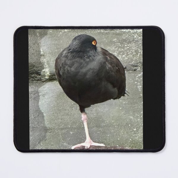 Item preview, One-footed bird napping designed and sold by OwenEnterprises.