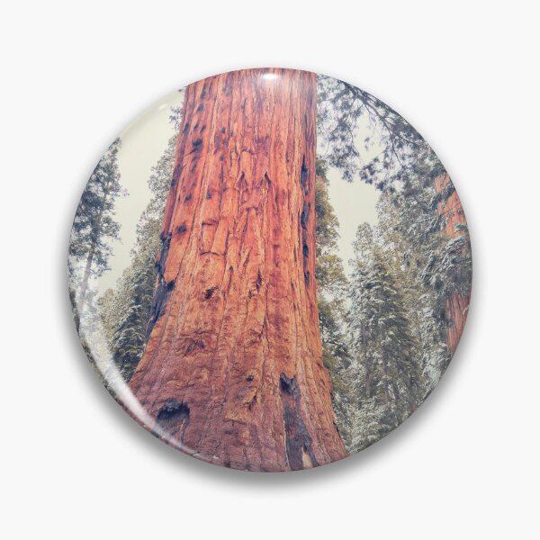 Item preview, Giant Sequoia designed and sold by jvnimages.